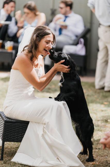 A much-loved family pet